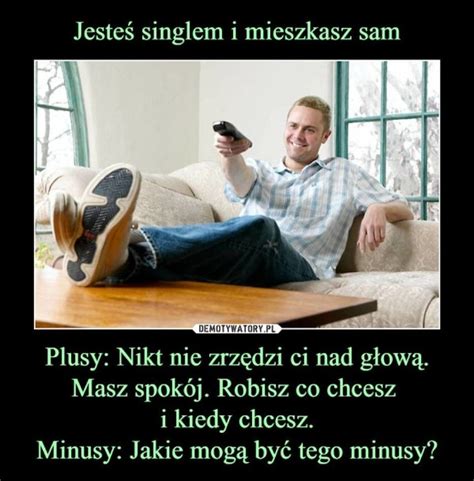 singiel memy|Dzień Singla, najlepsze MEMY, śmieszne obrazki! Z。